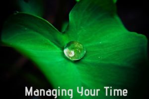 Manage your time